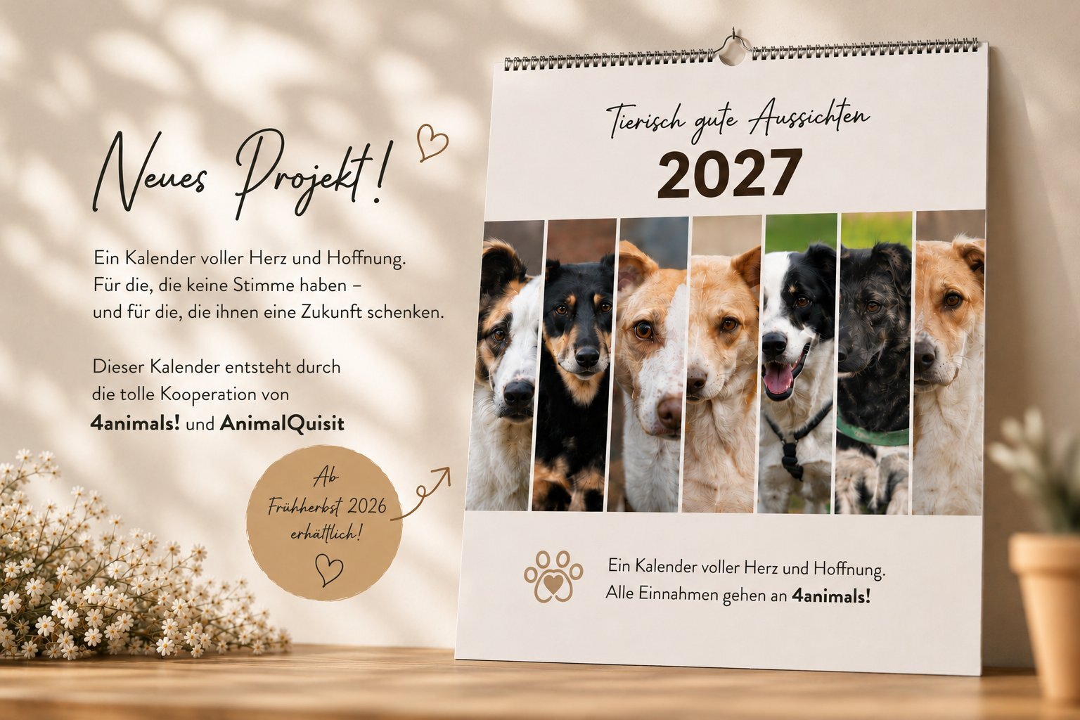 Tierisch gute Aussichten 2027 – Spendenkalender mit Hunden der Auffangstation, in Kooperation von 4animals! und AnimalQuisit. Ab Frühherbst 2026 erhältlich, alle Einnahmen gehen an 4animals!