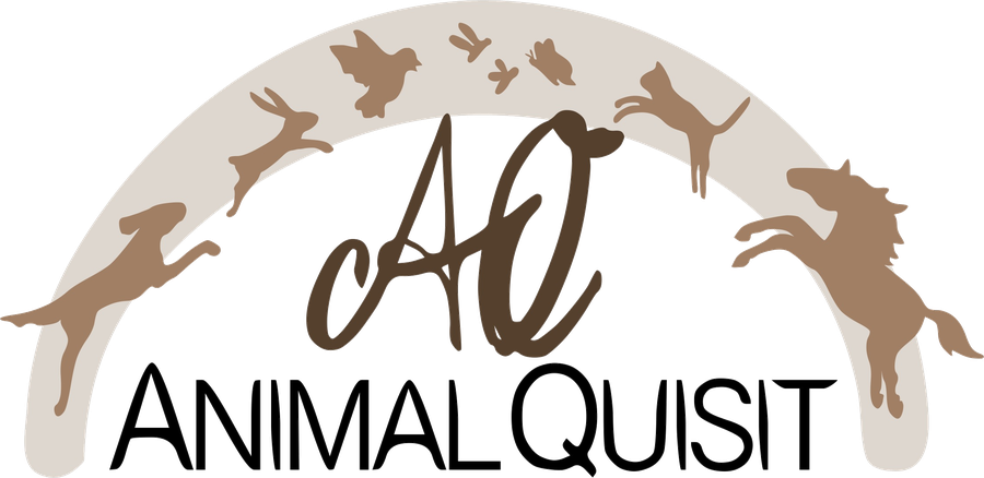 AnimalQuisit – Hundefotografie