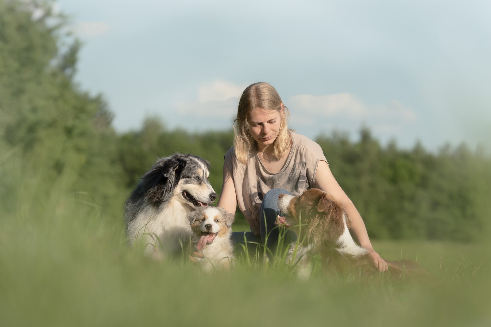 Frau mit Australian Shepherd und Welpen auf der Wiese